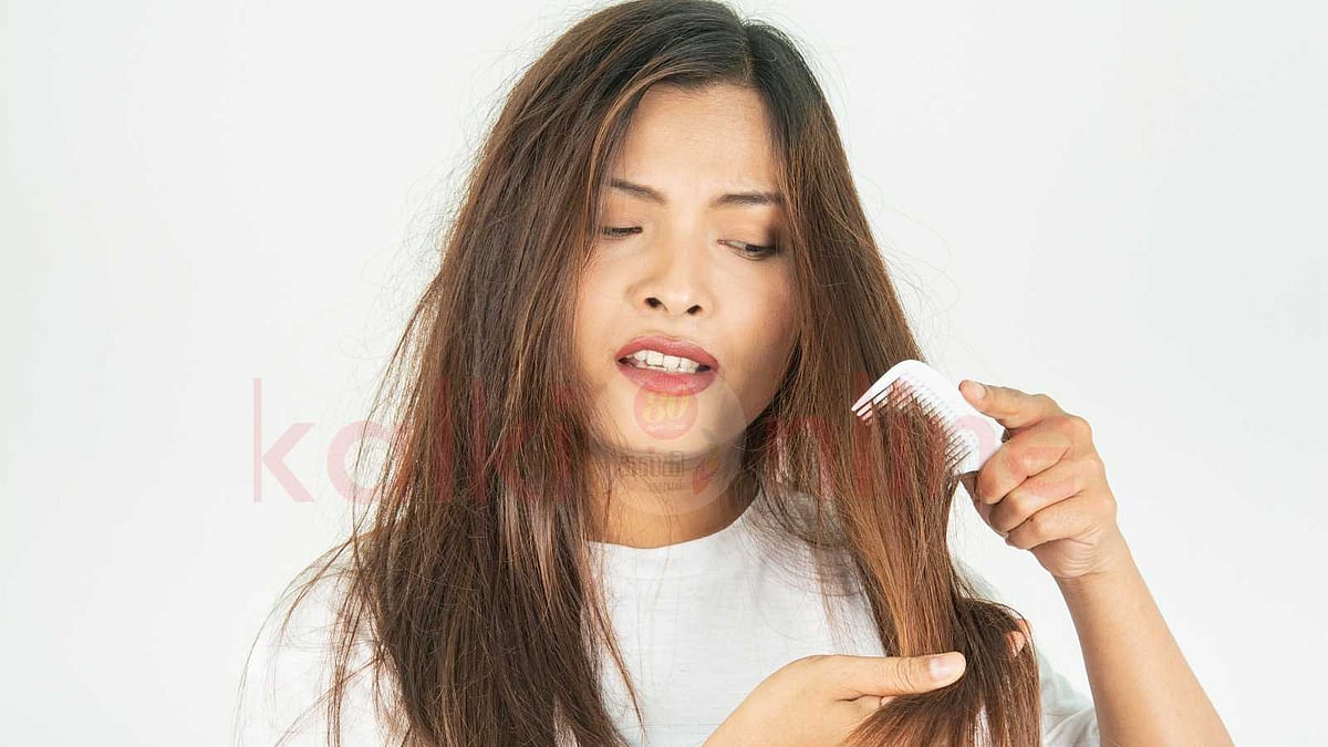 குளிர்காலத்தில் முடி ஏன் வறண்டு போகிறது? அதற்கான தீர்வுகள் என்ன?