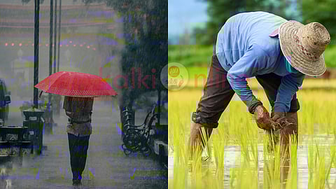 Rainfall and farmers