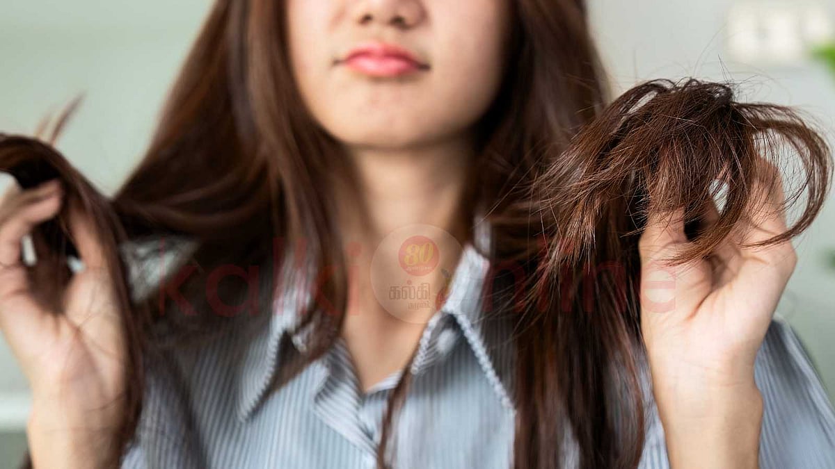 வெள்ளை முடியைப் போக்க வீட்டிலேயே தயாரிக்கலாம் இயற்கை சாயம்!