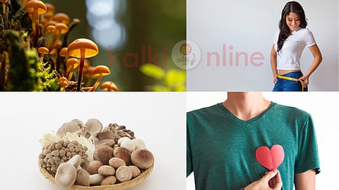 Mushroom health benefits