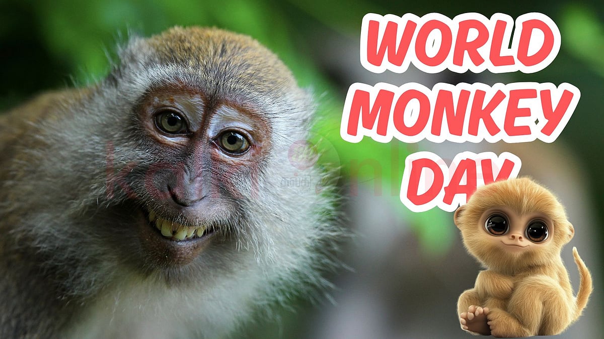 World Monkey Day: குரங்குகளின் அசாத்திய ஆற்றல்கள் பற்றி தெரியுமா?