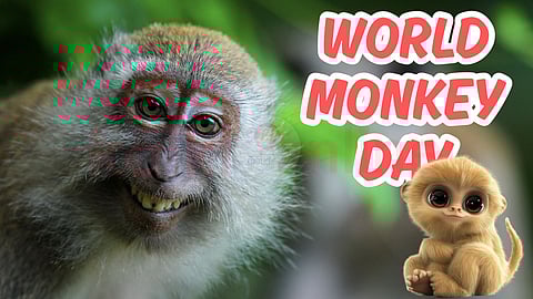 World Monkey Day