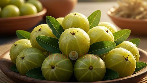 amla health benefits