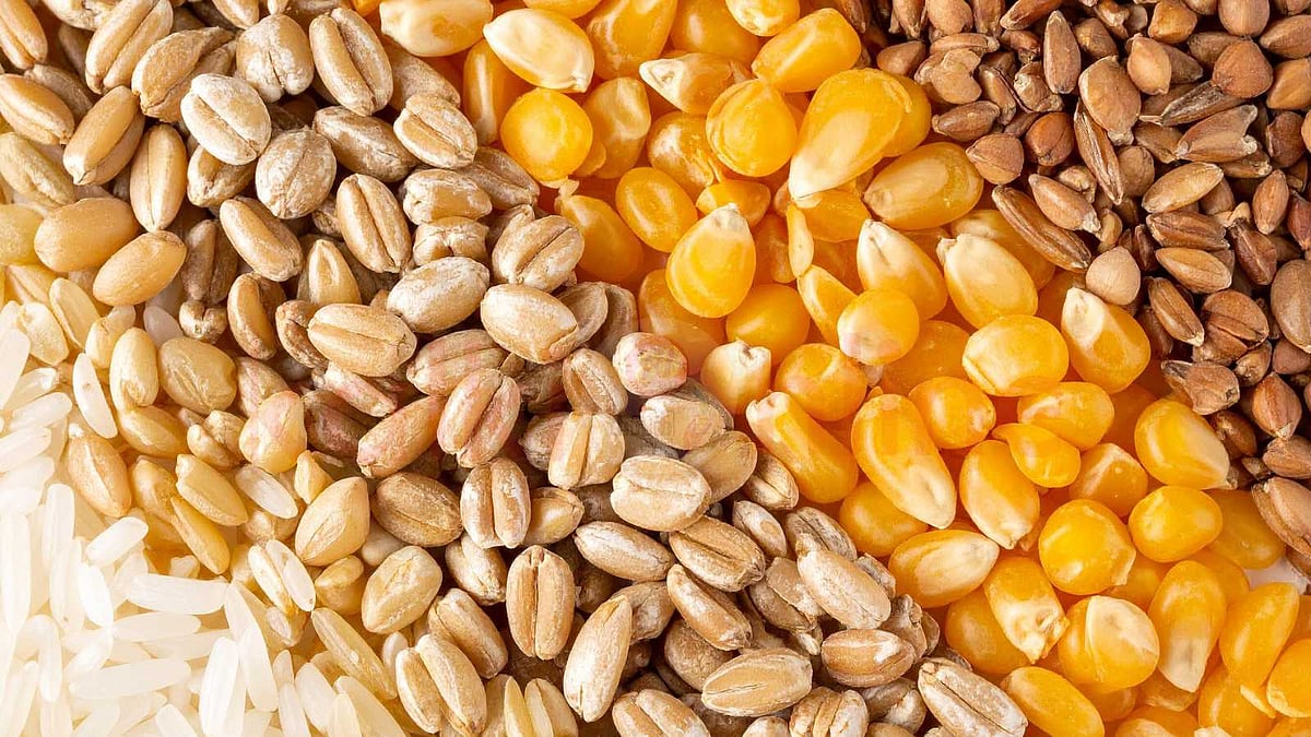 நோய் எதிர்ப்பு சக்தியைத் தரும் அற்புதச் சத்துமாவு!