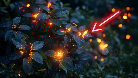 Glowing Plants