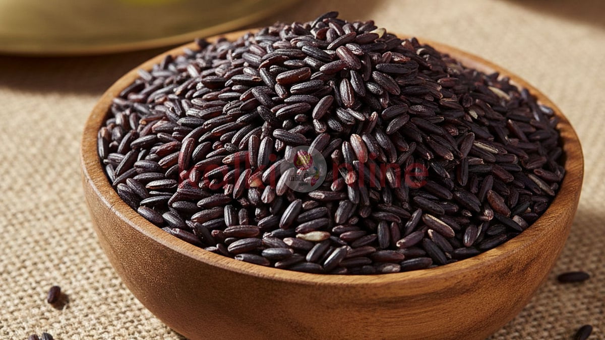 Karunguruvai rice: கருங்குறுவை அரிசியின் மகத்தான நன்மைகள்