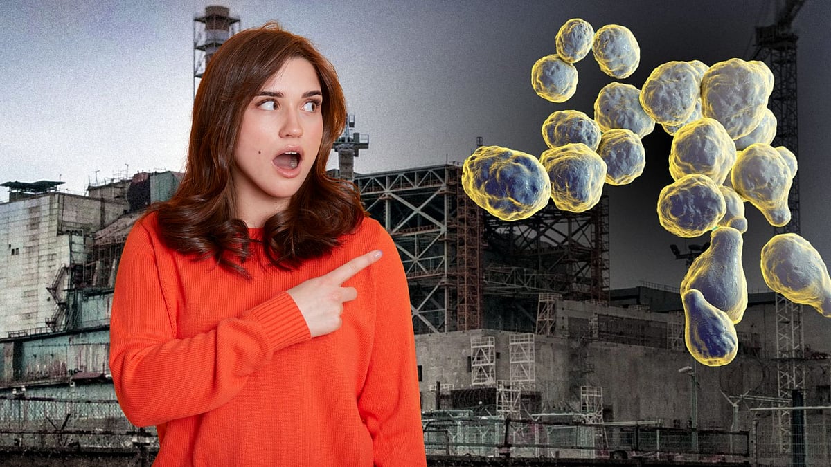 கதிர்வீச்சை டிபன் போல சாப்பிடும் விசித்திர உயிரினம்! செவ்வாய் கிரகத்திற்கு இதுதான் இனி 'பாடிகார்ட்'!