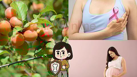 Plums fruit and its benefits