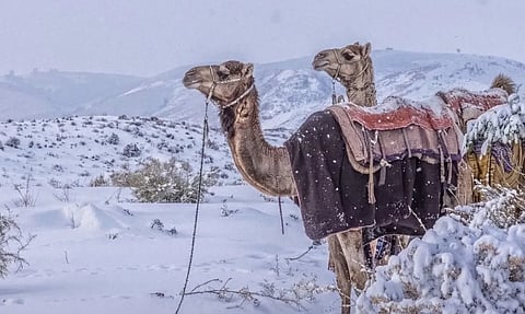 Saudi Arabia desert turns white