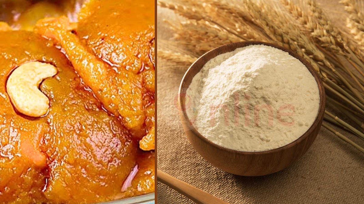 தித்திக்கும் கோதுமை-வெல்லம் அல்வா: நாவில் போட்டால் கரையும் சுவை!