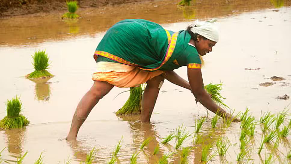 குட் நியூஸ்..! பெண்கள் நிலம் வாங்க ரூ.5 லட்சம் வரை மானியம் தரும் தமிழக அரசு.. விண்ணப்பிப்பது எப்படி?