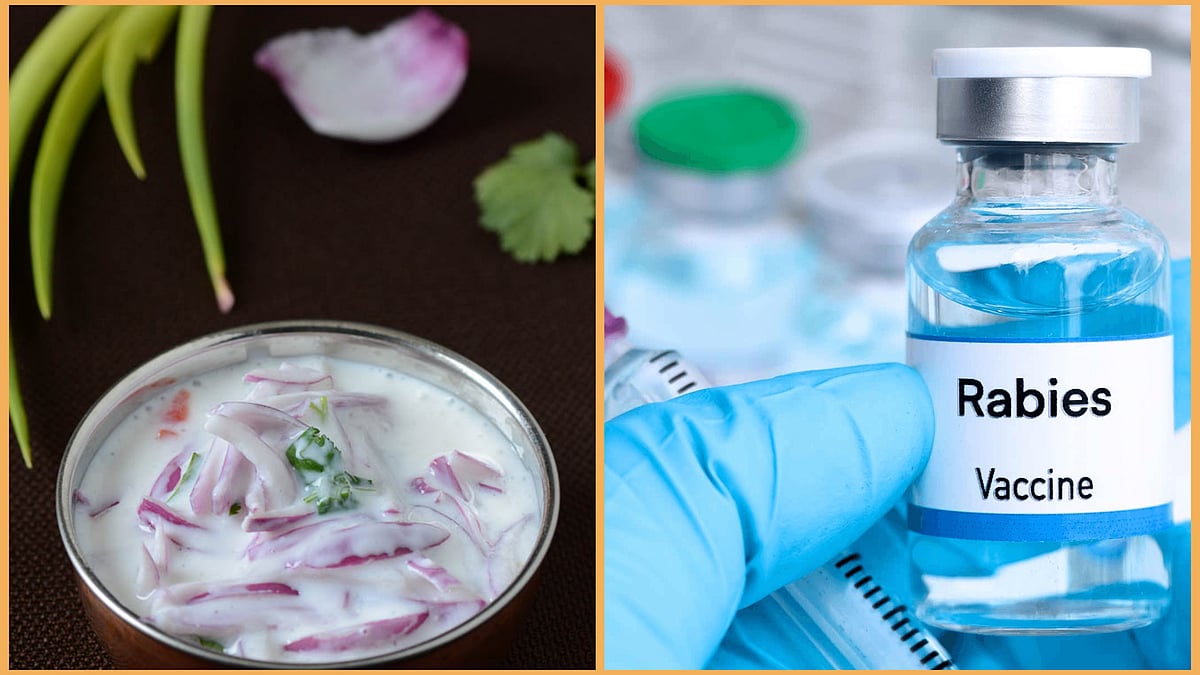 உபி-யில் நிகழ்ந்த அதிர்ச்சி சம்பவம்..! தயிர் பச்சடி சாப்பிட்ட 200 பேருக்கு ரேபிஸ் தடுப்பூசி..! 