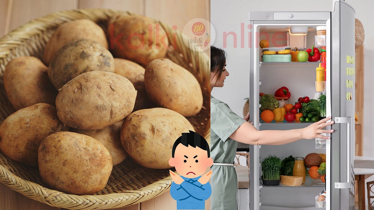 அச்சச்சோ ஆபத்து! உங்கள் பிரிட்ஜில் இருக்கும் உருளைக்கிழங்கு மெதுவாக விஷமாய் மாறலாம்! 