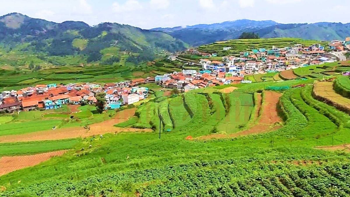 கொடைக்கானலின் மறைந்திருக்கும் சொர்க்கம்: பூம்பாறை!