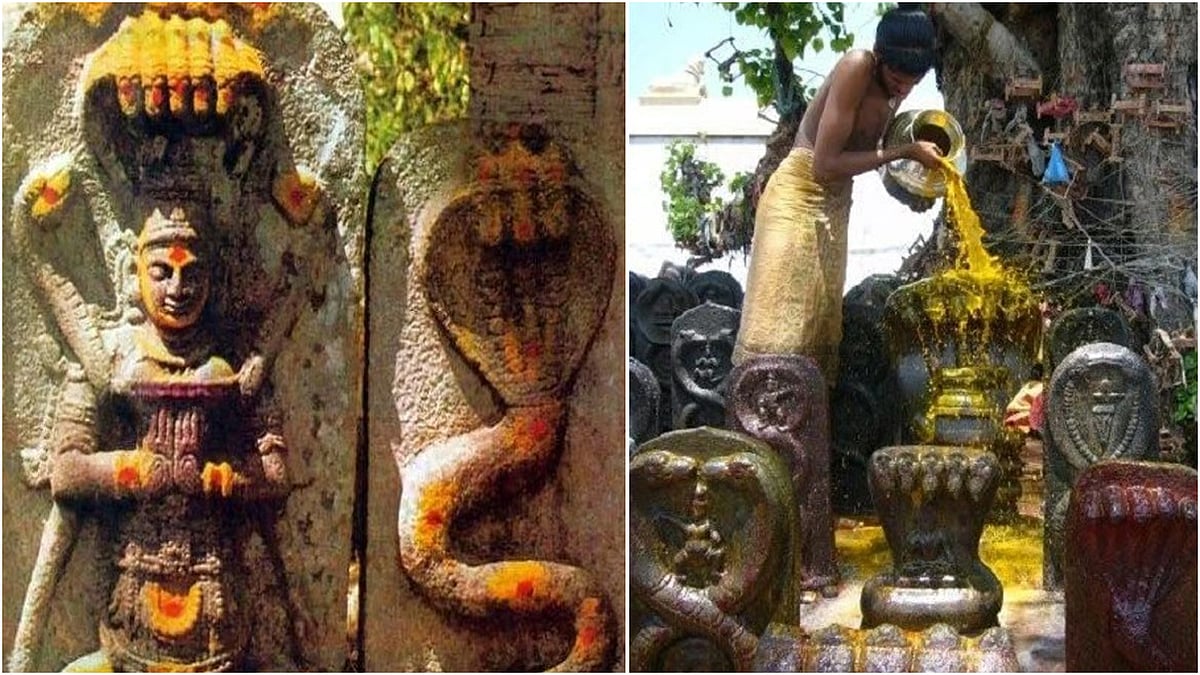 ஜாதகத்தில் நாக தோஷம் ஏற்படுவது ஏன்? அதன் பாதிப்புகளும் தீர்வு முறைகளும்... 