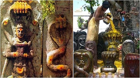 Naga Dosham pariharam