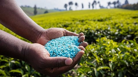 Chemical fertilizers that alter the natural properties of the soil