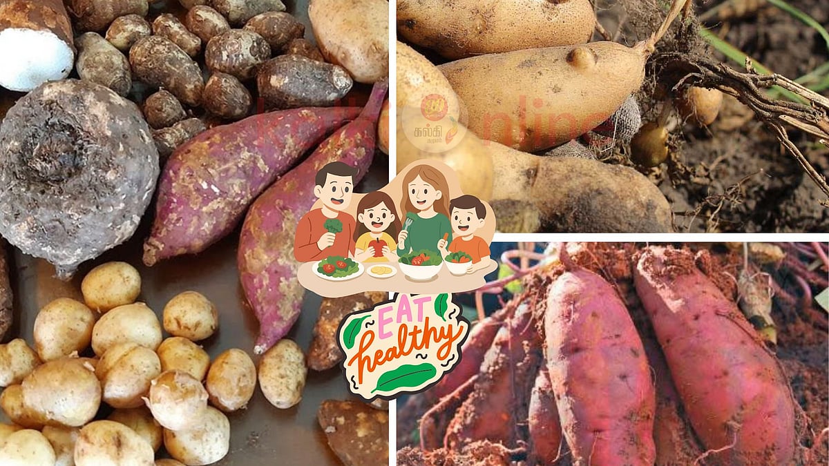 மண்ணுக்கு அடியில்  புதைந்திருக்கும் ஆரோக்கியம்! கிழங்கு சாப்பிட்டால் இந்த நோய்கள் போயிந்தே! 