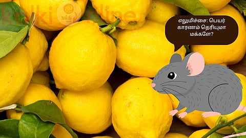 Lemon name interesting information