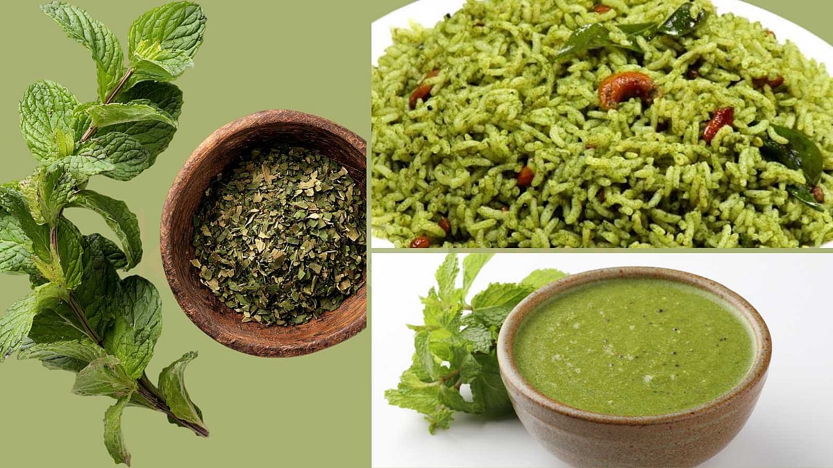 புதினாவில் இத்தனை சுவைகளா? அசத்தல் சமையல் குறிப்புகள்!