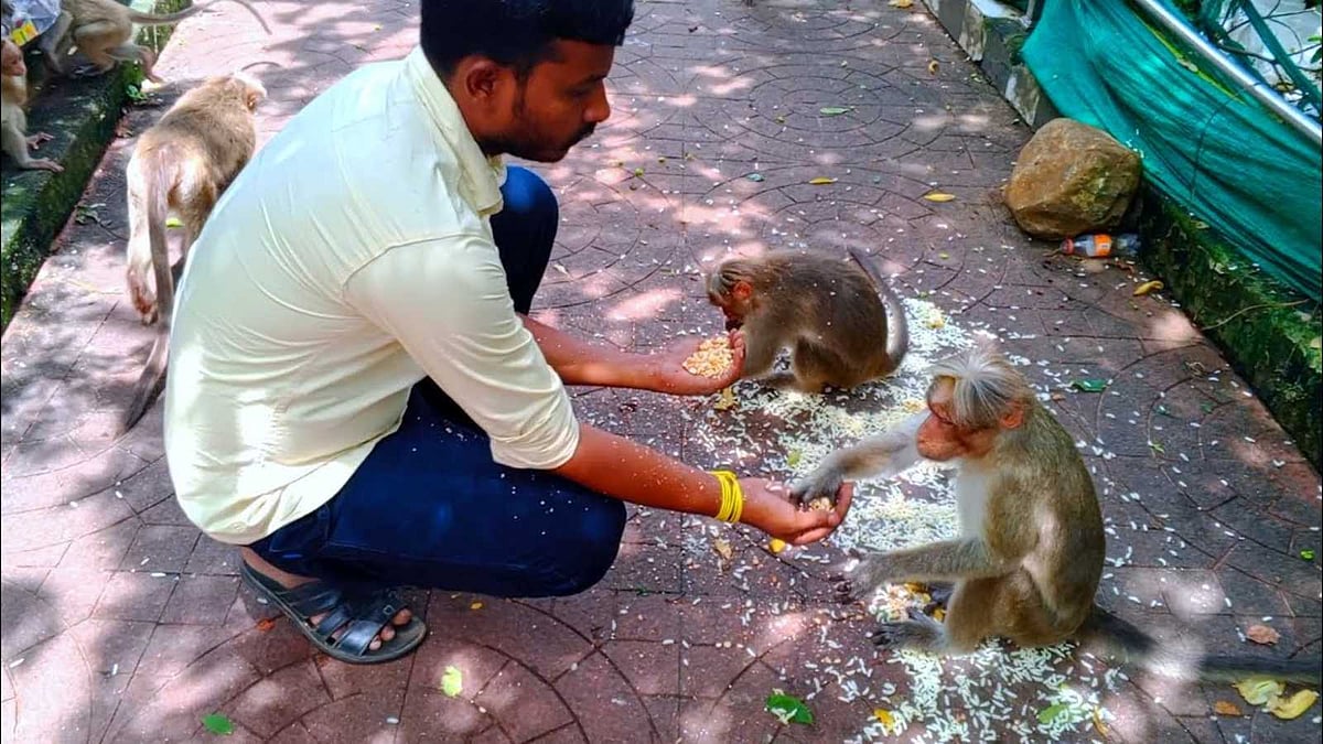 எந்த விலங்கு, பறவைக்கு உணவளிப்பதால் என்னென்ன பலன்கள் கிடைக்கும்?