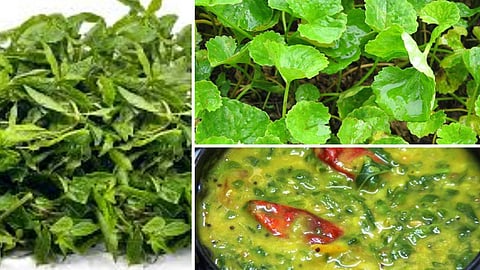 healthy recipes in tamil