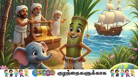 Why Elephants Love Sugarcane