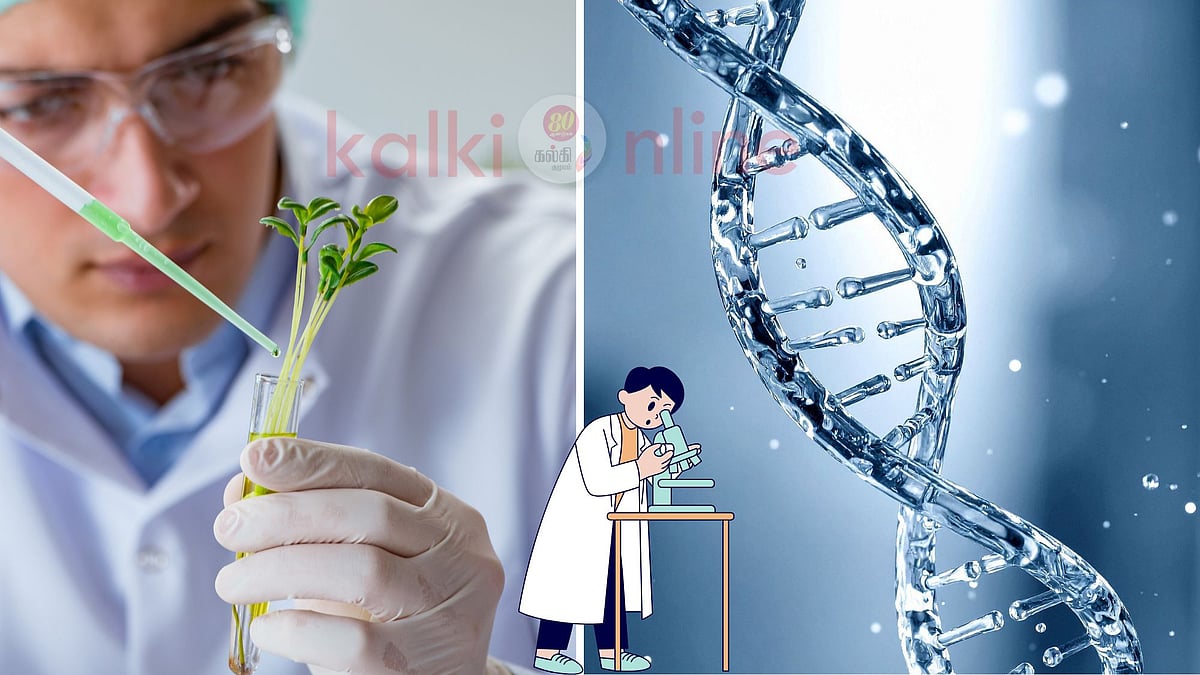 Biotechnology: மரபணு மாற்றத்தின் மூலம் சாத்தியமாகும் மிராக்கிள்! 