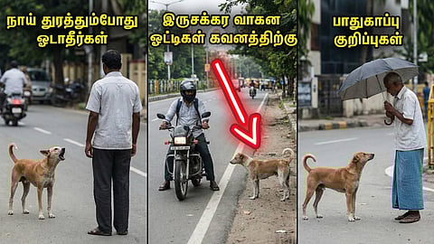  caught by stray dogs