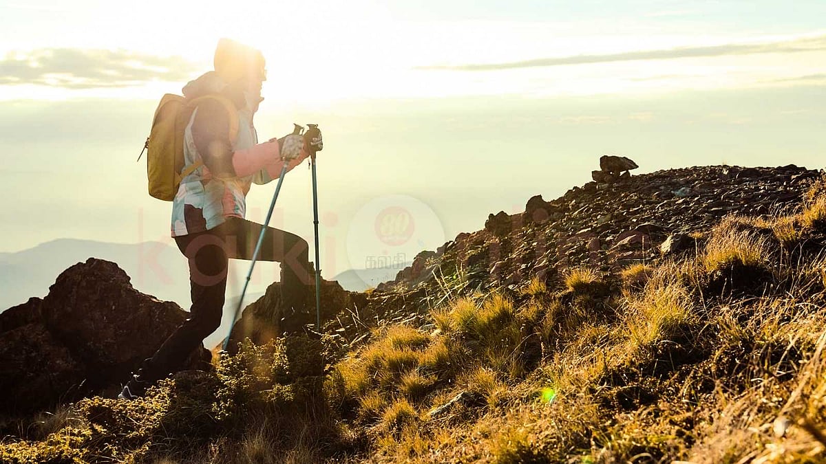 சிந்தனை செய்... செயல்படு... சிகரத்தைத் தொடு!