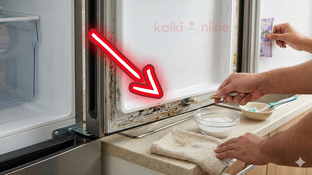 பிரிட்ஜ் கூலிங் நிக்கலையா? கரண்ட் பில் எகிறுதோ? இந்த ஒரு ரப்பரை மட்டும் செக் பண்ணுங்க!