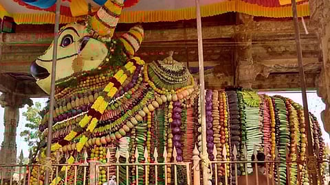 Mattu Pongal Nandi Vazhipadu