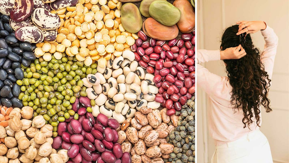 முடி உதிர்வுக்கு முற்றுப்புள்ளி வைக்கும் 'புரதச் சத்து' மிக்க பருப்புகள்! 