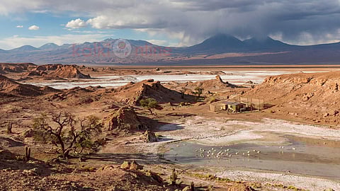 Atacama Desert