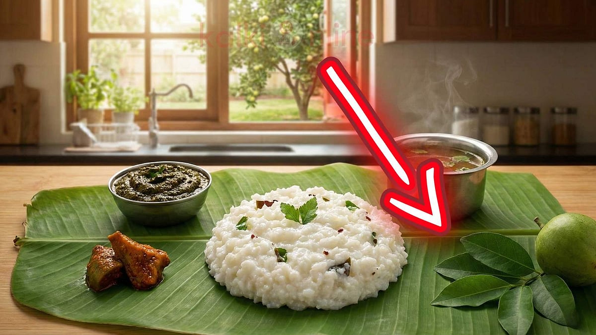 தயிர் சாதத்துக்கு நார்த்தங்காய் தொட்டுக்குறீங்களா... அப்போ இந்த இலையை மிஸ் பண்ணாதீங்க!