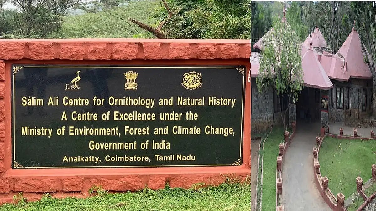 உடனே விண்ணப்பீங்க..! கோயம்புத்தூர் சலீம் அலி மையத்தில் அலுவலக உதவியாளர் வேலை..! 