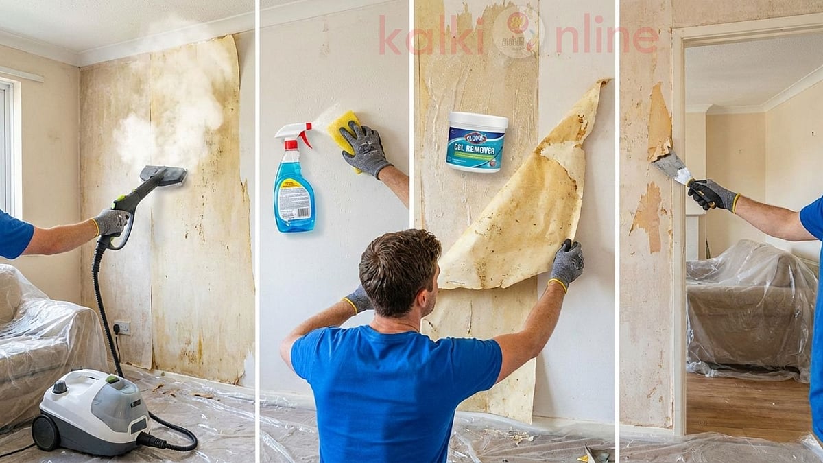 சுவரை உடைக்காமல் அந்தப் பழைய பேப்பரை மட்டும் பிய்த்து எடுப்பது எப்படி? இதோ 4 வழிகள்!