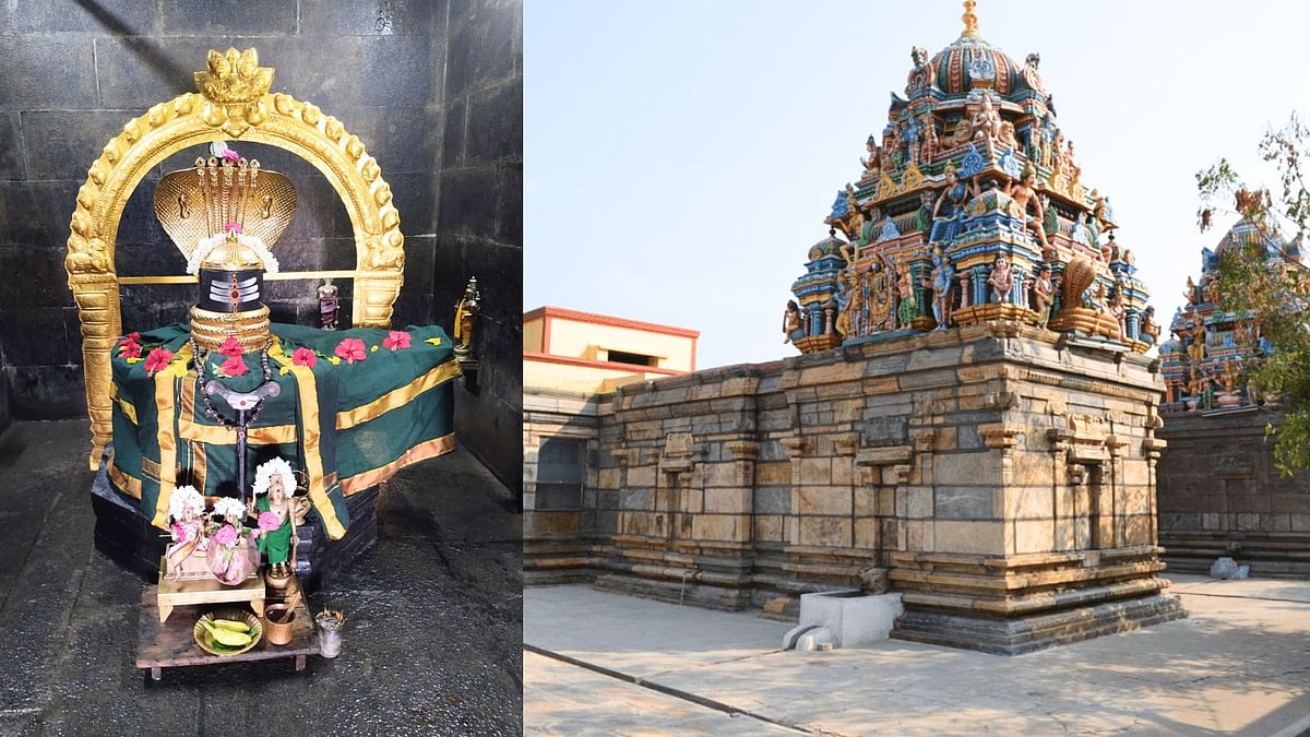 பல்லி தோஷமா? கவலை வேண்டாம்! நிவர்த்தி தரும் சேலம் சுகவனேஸ்வரர்!