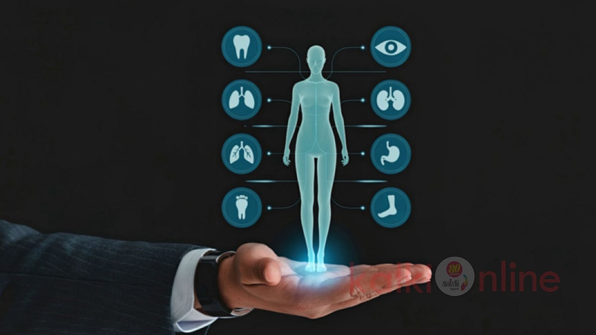 சேவல் கூவுவதற்குப் பின்னால் இருக்கும் அறிவியல் - மனித உடலுக்கும் இதற்கும் என்ன சம்பந்தம்?