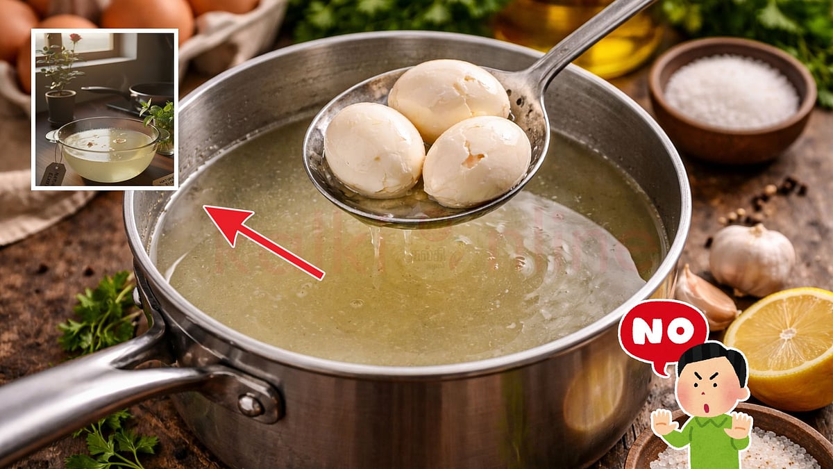 முட்டை வேகவைத்த நீரை இனி கீழே கொட்டாதீர்கள்! 