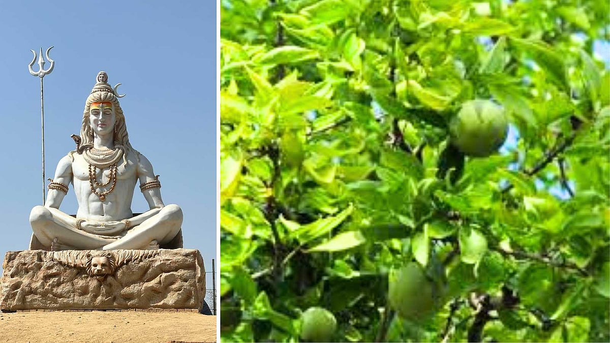 ஏன் சிவனுக்கு வில்வம் மட்டும் இவ்வளவு ஸ்பெஷல்? இதோ அதன் பின்னணி!