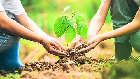 Environmental maintenance