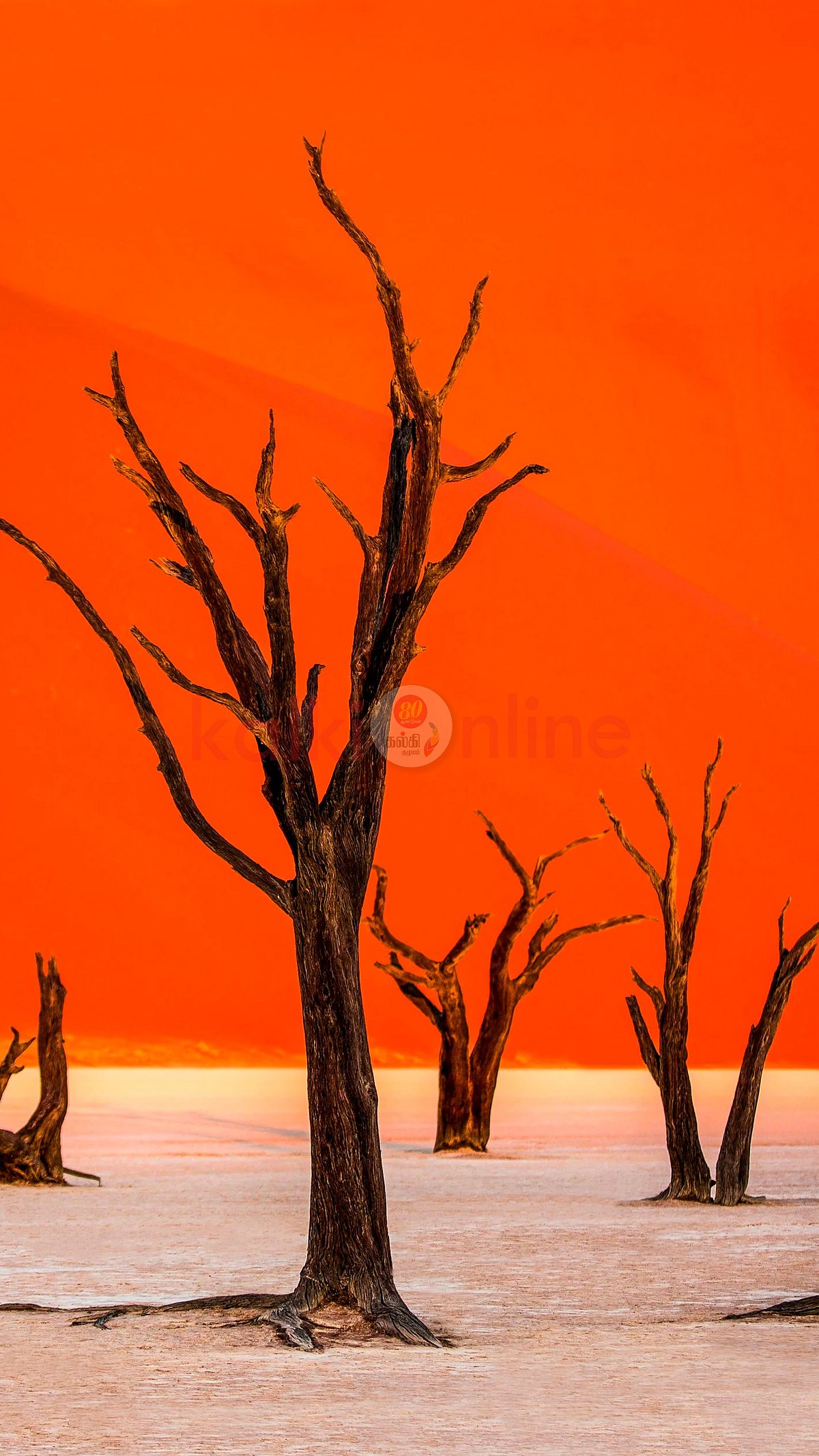 நிஜமாகவே இது நம்ம பூமிதானா? வேறொரு கிரகத்திற்கு சென்ற உணர்வைத் தரும் டாப் 10 இடங்கள்!