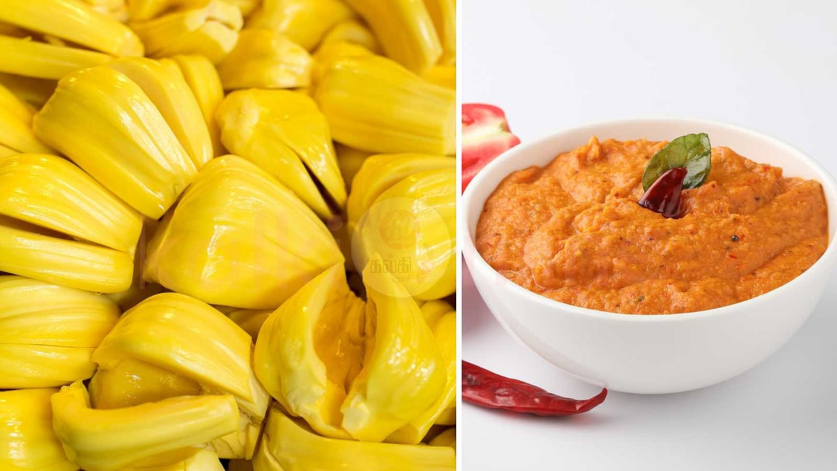 பலாப்பழத்தில் ஒரு சட்னியா? இனிப்பு, புளிப்பு, காரம் நிறைந்த புதுமையான சுவை!