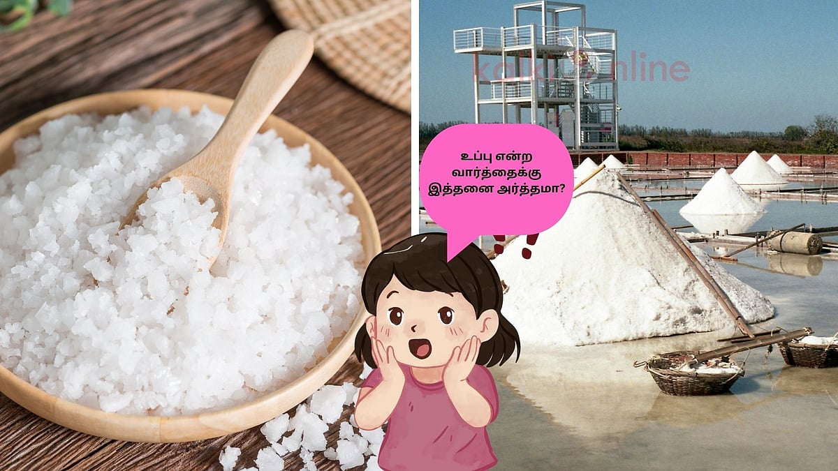 'உப்பு' என்ற சொல்லுக்கு இத்தனை முகங்களா? மிஸ் பண்ணாம படிங்க! 