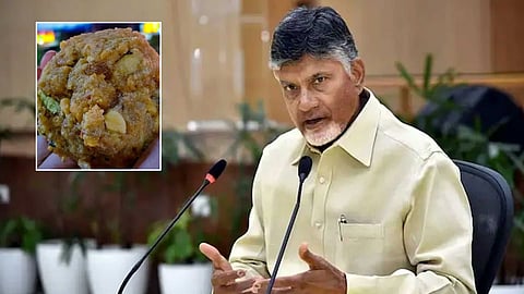 chandrababu naidu, tirupati laddu