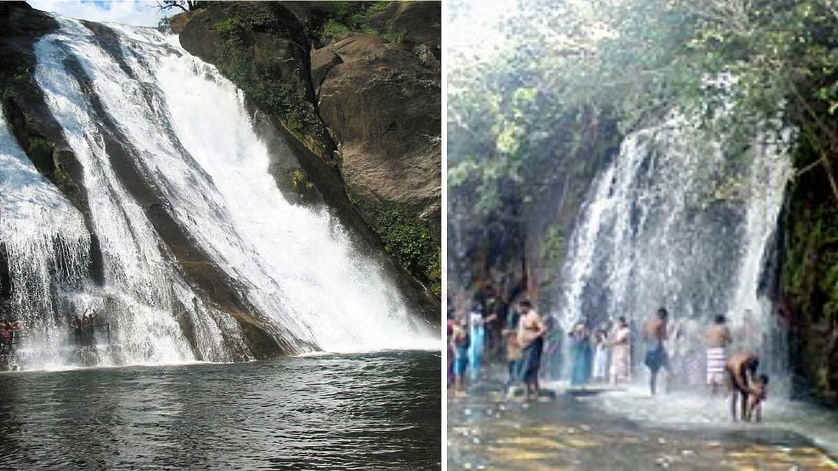 கேரளாவிற்கு இணையான குளிர்ச்சி... தமிழ்நாட்டிலேயே இப்படி ஒரு இடமா? மிஸ் பண்ணிடாதீங்க!