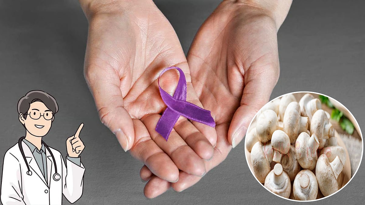 காளான்: புற்று  நோயை கட்டுப்படுத்தும் கவசமா? ஆராய்ச்சிகள் சொல்லும் உண்மை அறிவோமா?    