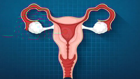 Vaginal health and uterus 
