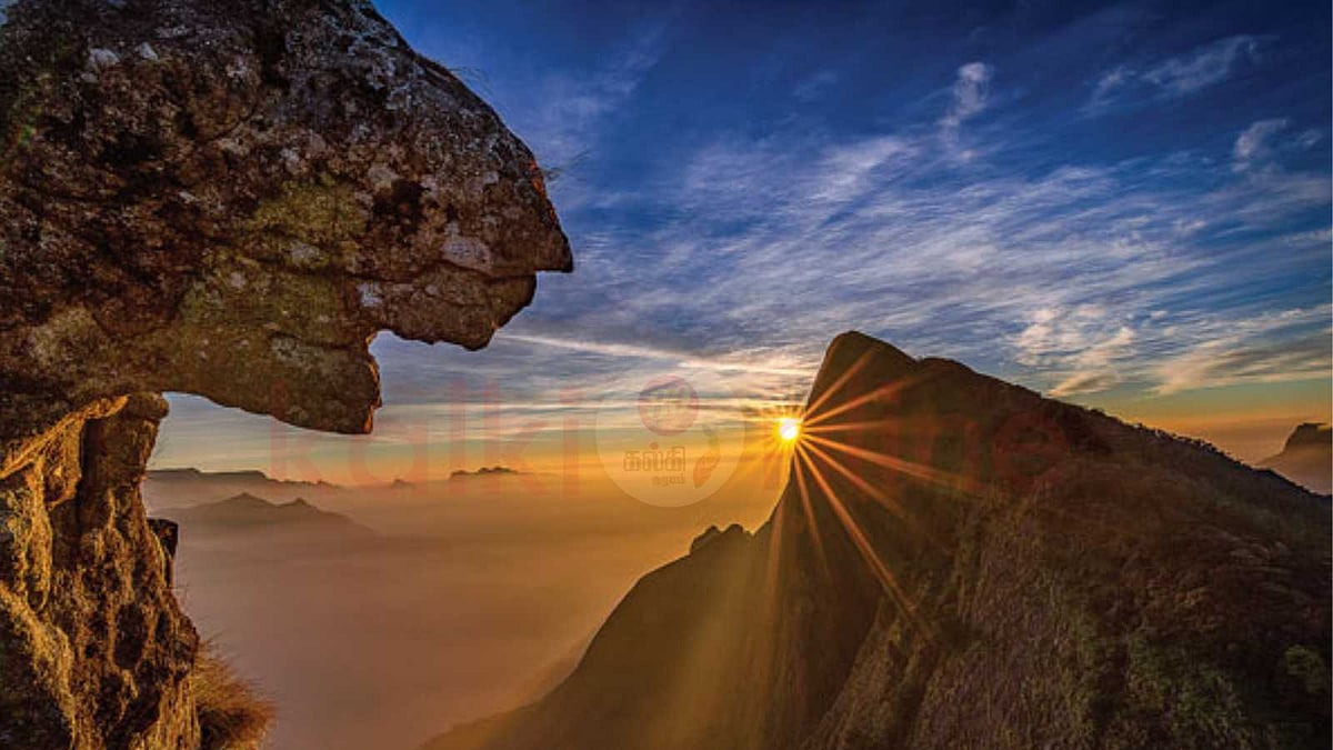 கொழுக்குமலை: அதிகாலை சூரிய உதயமும், ஆச்சரியமூட்டும் சிங்கப்பாறையும்!